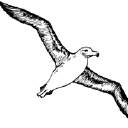 Macandrew Bay School logo