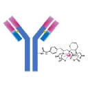 Macrocyclics logo