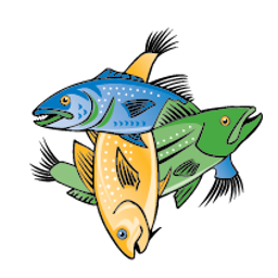 Wellfleet Harbor Seafood Company, Inc. logo