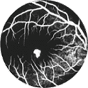The Macula Society logo
