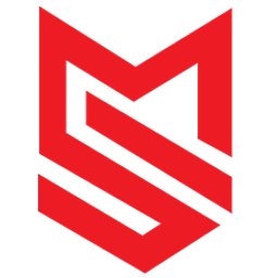 Maddisoft LLC logo