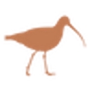 Favicon of Made Scotland