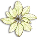 Madrone Trail Public Charter School logo