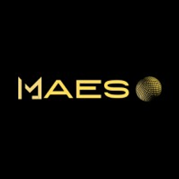 Maes Solutions INC logo