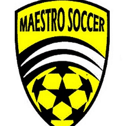 Maestro Soccer, LLC logo