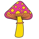 Magicfly logo
