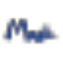 Magic Hotel Group logo