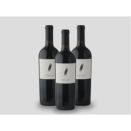 Magna Carta College logo