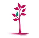 Magnolia Pediatrics logo