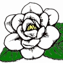 Magnolia Village logo