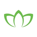 Magnolia Wealth Strategies logo