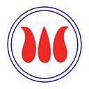 Magnum Technologies logo