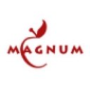 Magnum Realty Holdings Llc logo