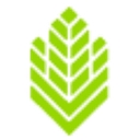 Magnuson Ccm logo