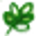 maiac.it icon
