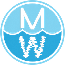 Make Waves Family Foundation Inc logo