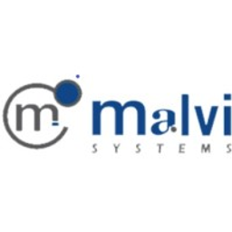 Malvi Systems LLC logo