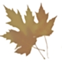 Town of Manchester logo