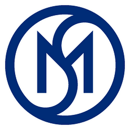 M&S Consulting, LLC logo