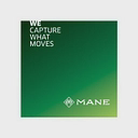 Mane logo