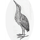 The Friends of Mangarakau Swamp Incorporated logo