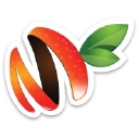 Mango Signs Llc logo
