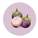 Mangosteen logo