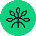 Mangrove logo