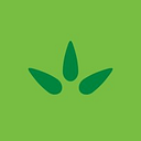 manningnapier logo