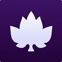 Maple