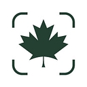 Maple Leaf Strategies logo