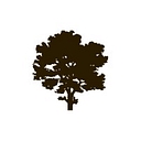 Mapleton Hill logo