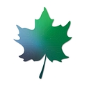 Mapletronics Computers Inc. logo