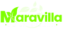 Maravillas de la Tierra logo