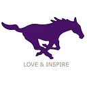 Marble Falls Isd logo