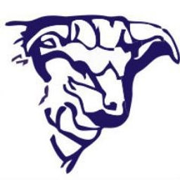 MARFA SCHOOLS logo