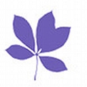 The Marillac Neurological Care Centre logo