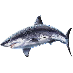 Logo of marinecsi.org