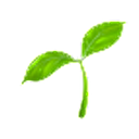 Ecosystems of Care logo