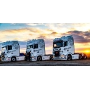 Mark Stewart Ltd logo