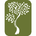 THE MARSHALL HOME FUND INC logo