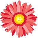 Mary Ann Morse Healthcare Career