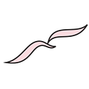 MARY KAY ASH FOUNDATION logo