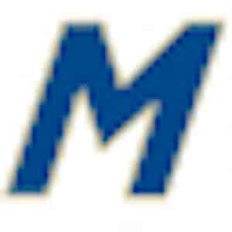 Massey Services, Inc. logo