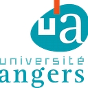 master-iesc-angers.com icon