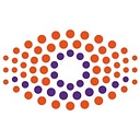 Más Visión México logo