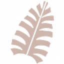 Maui Moisture logo