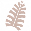Maui Moisture logo