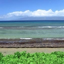 Maui Sands logo