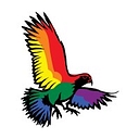 Maverick Digital New Zealand logo